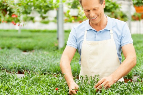 Team of local gardeners discussing accessibility adjustments near raised flower beds