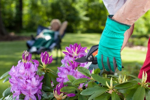 Inspector reviewing planting beds in a neighborhood garden