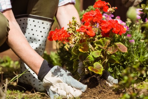 Chart showing analytics and performance monitoring metrics for gardening site