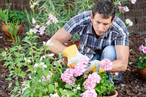 A gardener explaining planting plans with a clipboard in a Stockwell garden