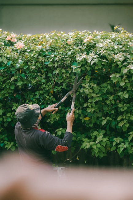 A gardener, dressed in a grey long-sleeve shirt with reflective stripes on the sleeves and wearing a wide-brimmed hat, is seen from behind tending to a landscaped garden inside a glass conservatory. T