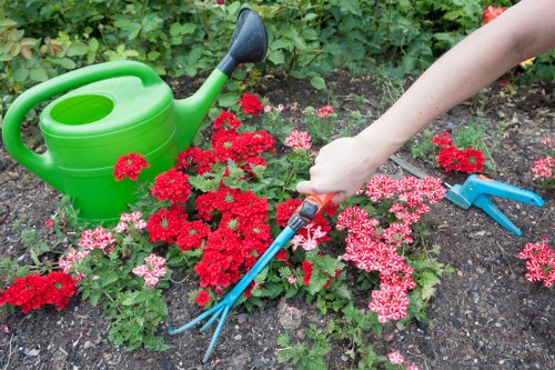 Community gardening project led by Stockwell
